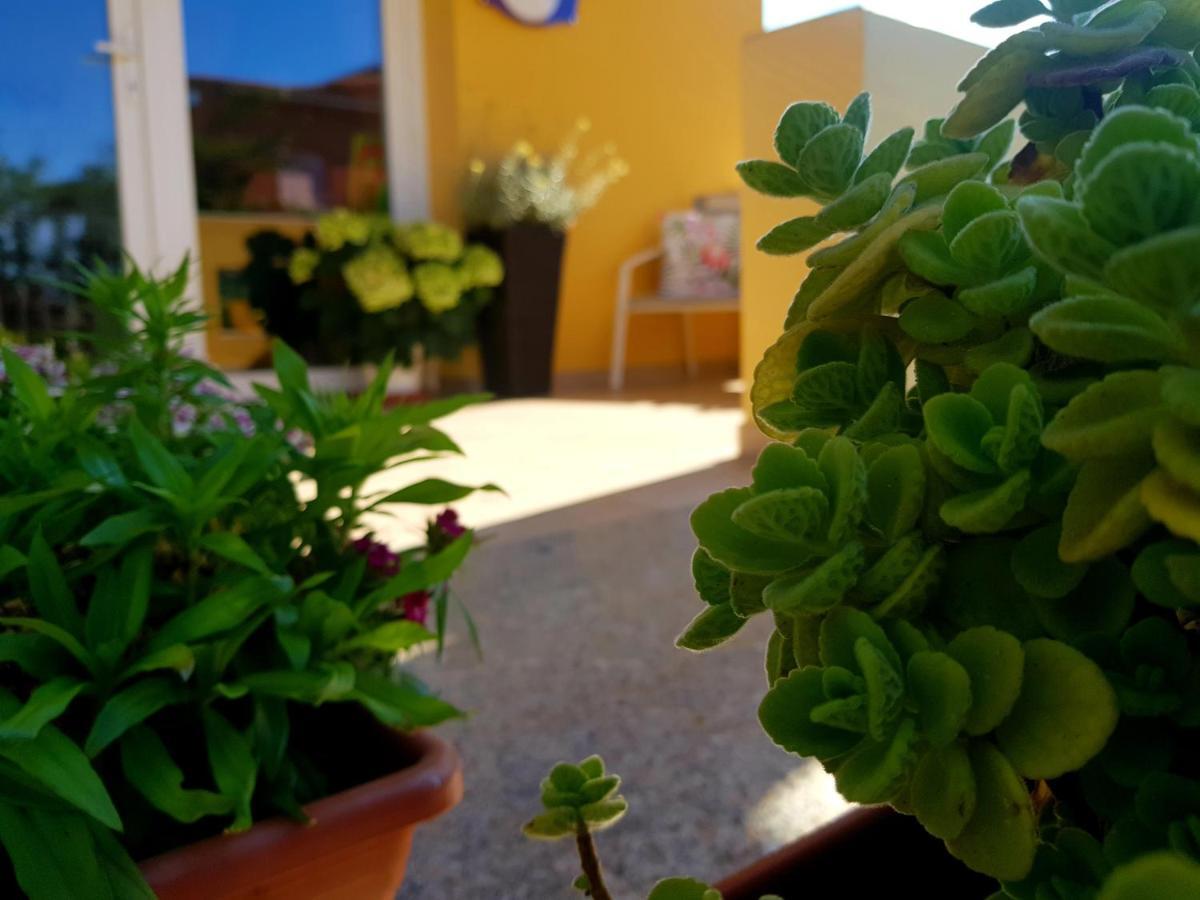 B&B L'Arcobaleno Pula Eksteriør bilde